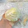 2952　予約品 MU 受注受け締め日：4/5 23:00